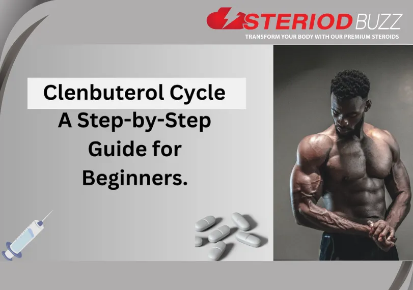 Clenbuterol Cycle