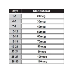 Clenbuterol Cycle